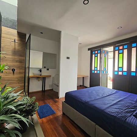מלון קאלי Casa Alba מראה חיצוני תמונה