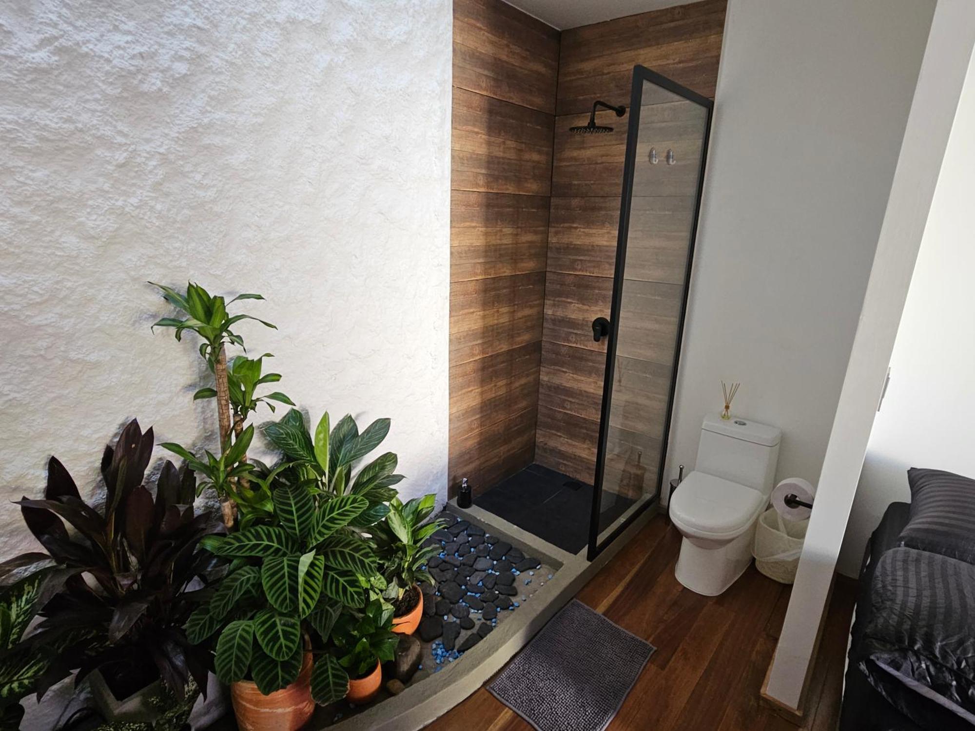מלון קאלי Casa Alba מראה חיצוני תמונה