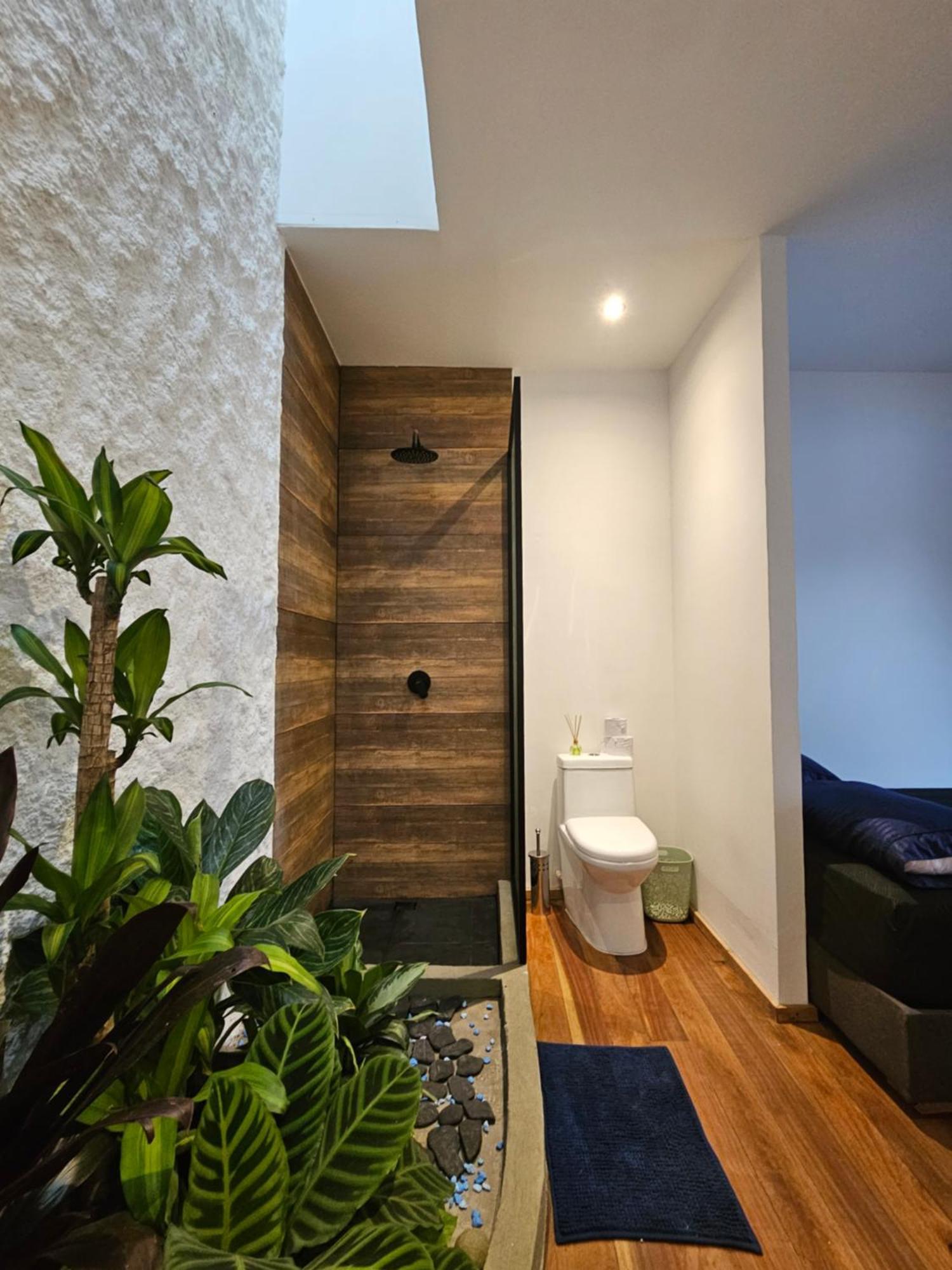 מלון קאלי Casa Alba מראה חיצוני תמונה