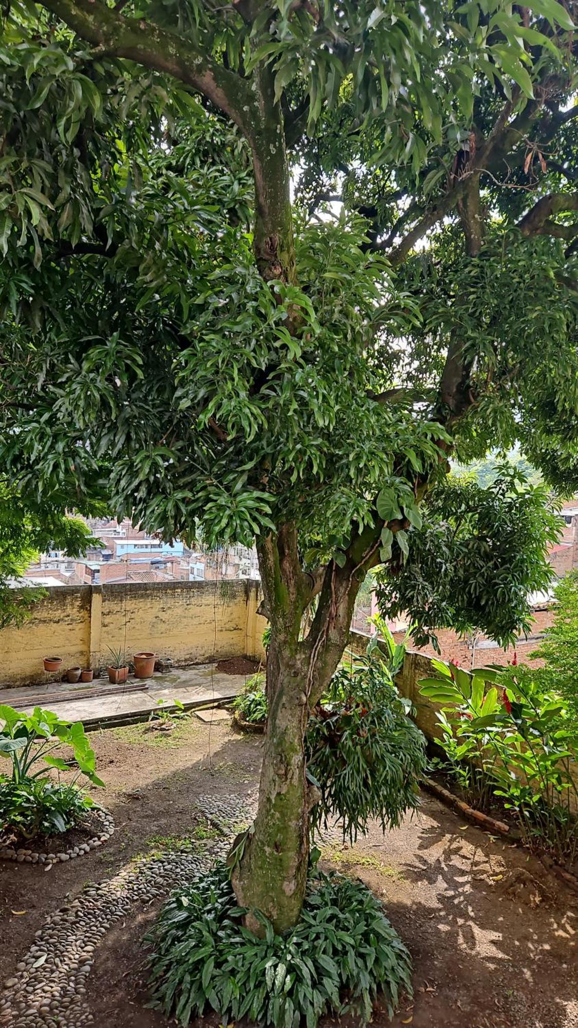 מלון קאלי Casa Alba מראה חיצוני תמונה
